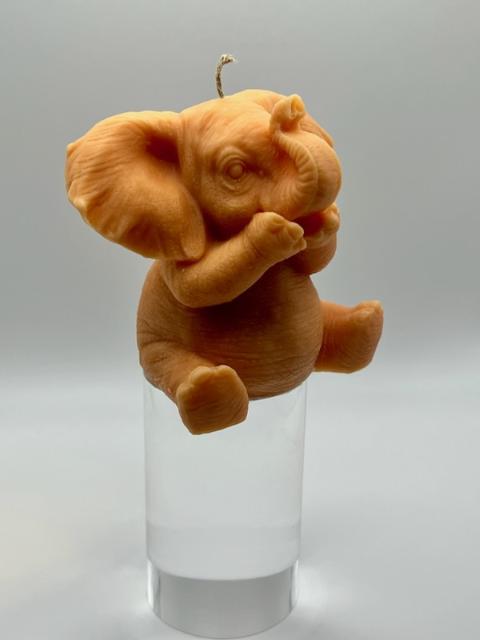 3D Elephant Giggles