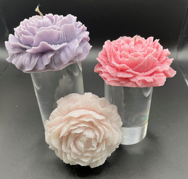 3D Peony Flower